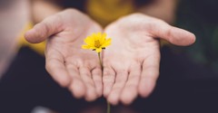 6 Things it Means to Let Go and Let God