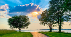 7 Weeks to Cultivate a Summer of Wonder with God