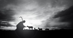 From Joy to Rage: How People in the Bible Reacted to Jesus