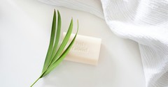 Have You Tried the SOAP Bible Study Method?