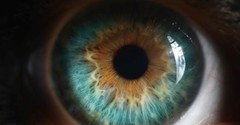 The Lord Has His Eye on You (Psalm 102:19) - Your Daily Bible Verse - June 13