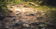 Walking the Parable of the Sower: Rocky Ground