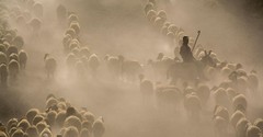 The Source of Our Strength  - Greg Laurie Devotion - February 21, 2026