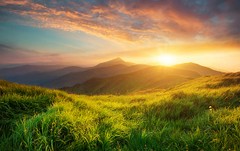 Using Your Talents for the Glory of God