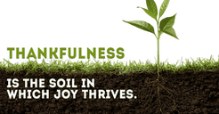 What is Thankfulness?