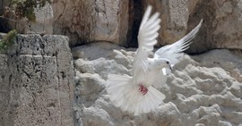 The Holy Spirit and the Scandal of Christ's Birth