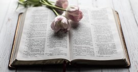 8 Proverbs to Decrease Anxiety and Increase Peace