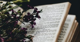 Who Actually Wrote Psalms?