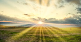 How Does the Kingdom of God Shape the Future New Heaven and Earth?