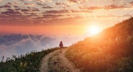 What Does the Bible Say about Purpose?