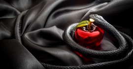 What Does Enmity Teach Us about the Barriers the Gospel Breaks Down? 