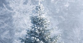 3 Ways to Pray through the Winter Season