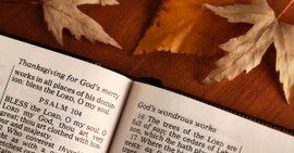 30 Day Thanksgiving Bible Study (Explore Gratitude from Genesis to Revelation)
