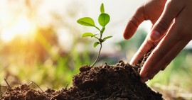 What Does "You Reap What You Sow" Mean?