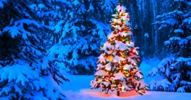 Embrace God's Divine Disruptions This Christmas