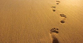 How Did 'Footprints in the Sand' Become So Popular Among Christians?