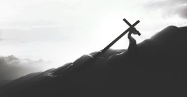 What Does Theodicy Teach Us about God's Will?