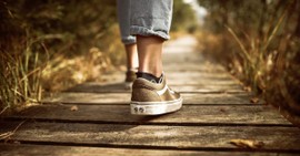 What Does the Bible Illuminate for Us in Psalm 119:105?