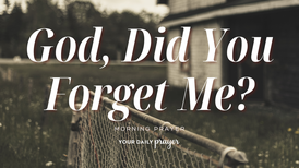 A Prayer When You Feel Forgotten in a Waiting Season | Your Daily Prayer
