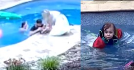 Dad's Heroic Pool Rescue of 2-Year-Old Daughter Caught on Camera