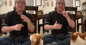 Cute and Intelligent Dog Learns Sign Language