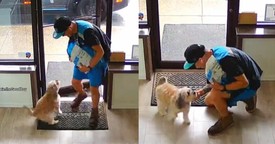 Amazon Driver's Sweet Response After Seeing Adorable Dog