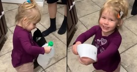 Little Girl Gets Super Excited About the Groceries