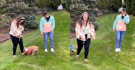 Woman’s Hilarious Mishap Right Before Proposal Creates Unforgettable Moment