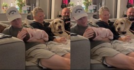 This Dog Can’t Handle Sharing Attention with a Baby—And It’s Absolutely Hilarious