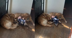 Mom Turns the Corner and Sees the Most Adorable Sight Ever