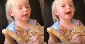 Little One Holds Furry Friend Close During the Sweetest Nighttime Prayer