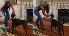 This Singing Pup Nails Its Karaoke Moment Like a Pro