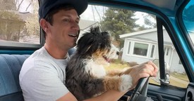 The Hilarious (and Totally Relatable) Steps of Getting a Dog