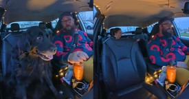 This Dog’s Gentle Reaction to a Grieving Uber Passenger Is Pure Love