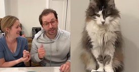 This Couple’s Laugh-Out-Loud Method for Picking Who Grooms the Cat