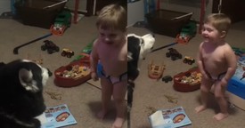 Toddler Laughs Uncontrollably While Howling with His Furry Best Friend