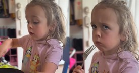 The Smallest Boss Runs The Strictest Restaurant and It’s Comedy Gold