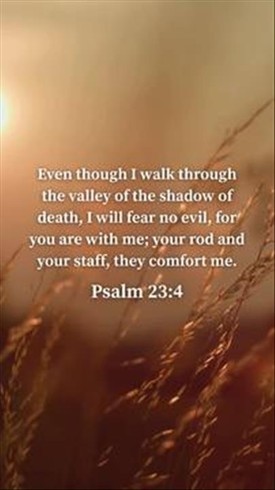 Psalm 23:4