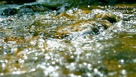 The Workers Are Few | Your Daily Prayer