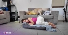 This Pup Can’t Handle It When Someone Steals Its Bed