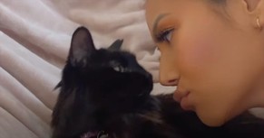 Cat Given 6 Months To Live Beats The Odds And Is Now Cancer Free