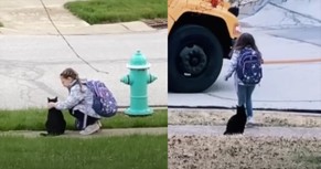 Cat Accompanies Little Girl to the Bus Stop in Sweetest Daily Routine