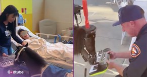 Woman and Her Team of Mini Horses Lifts Spirits in Hospitals