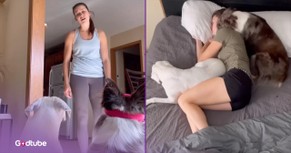 This Hysterical Video Captures Exactly What it's Like to Own a Dog