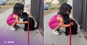 Little Girl Has Sweetest, Most Adorable Interaction with Cat