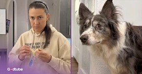 These Pups Demand Their Fair Share of Cheese