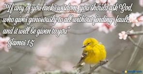 God Will Give Wisdom to All - Crosswalk PLUS Video Devotional