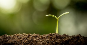 Receiving God's Truth on Good Soil - Crosswalk PLUS Video Devotional