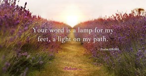 The Bible Is Our Road Map - Crosswalk PLUS Video Devotional