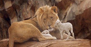 Will the Lion Lay Down with the Lamb?